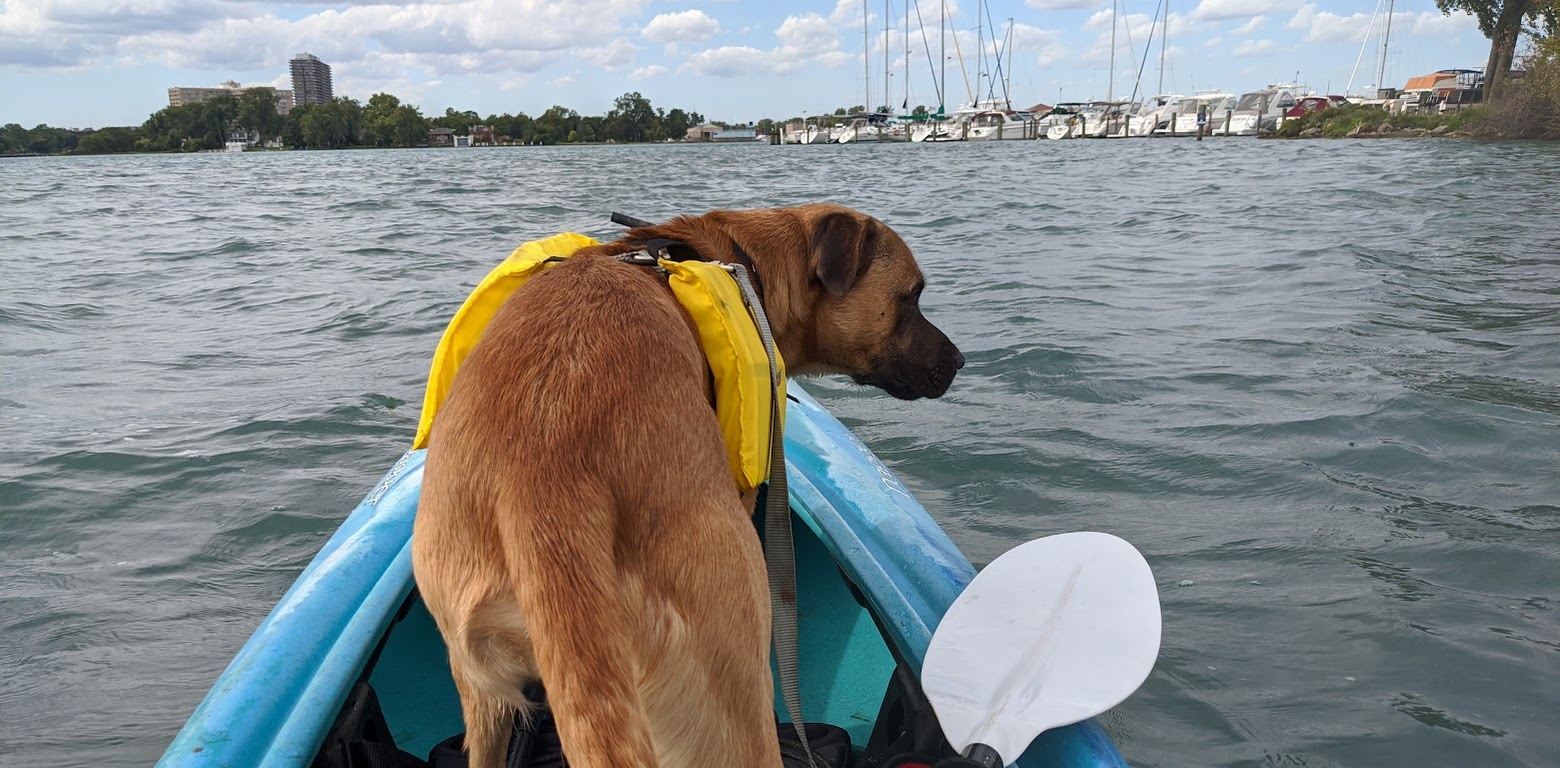 Kayaking with dog